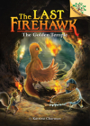 The Secret Maze: A Branches Book (The Last Firehawk #10) (Library Edition) Cover Image
