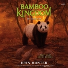 Bamboo Kingdom #4: The Dark Sun Cover Image