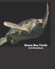 Green Sea Turtle 8x10 Sketchbook By It's about Time Cover Image