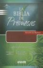 La Biblia de Promesas-Rvr 1960 Cover Image