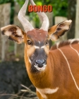 Bongo: Amazing Facts & Pictures Cover Image