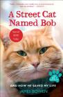 A Street Cat Named Bob: And How He Saved My Life Cover Image