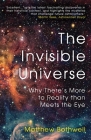 The Invisible Universe: Why There's More to Reality than Meets the Eye By Matthew Bothwell Cover Image