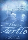 Attack of the Turtle By Drew Carlson, David A. Johnson (Illustrator) Cover Image