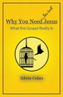 Why You Need (the real) Jesus: What the Gospel Really Is Cover Image