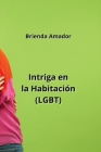 Intriga en la Habitación (LGBT) By Brienda Amador Cover Image
