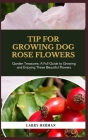 Tip for Growing Dog Rose Flowers: Garden Treasures: A Full Guide to Growing and Enjoying These Beautiful Flowers Cover Image