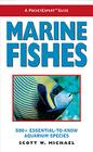 Marine Fishes Cover Image