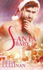 Santa Baby (Minnesota Christmas #4) By Heidi Cullinan Cover Image