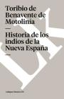 Historia de los indios de la Nueva España By Toribio de Benavente de Motolinía Cover Image