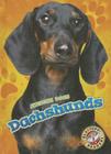 Dachshunds (Awesome Dogs) Cover Image