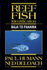 Reef Fish Identification: Baja to Panama By Paul Humann, Ned Deloach Cover Image