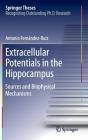 Extracellular Potentials in the Hippocampus: Sources and Biophysical Mechanisms (Springer Theses) By Antonio Fernández Ruiz Cover Image