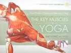 The Key Muscles of Yoga (Scientific Keys #1) By Ray Long, Chris Macivor (Illustrator) Cover Image