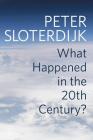 What Happened in the Twentieth Century?: Towards a Critique of Extremist Reason Cover Image