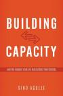 Building Capacity By Sino Agueze Cover Image