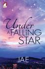Under a Falling Star Cover Image