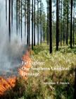 Fat Lighter: Our Southern Longleaf Heritage By Jonathan P. Streich Cover Image