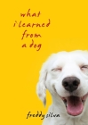 What I Learned From A Dog By Freddy Silva Cover Image