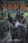 Survivors: The Gathering Darkness #2: Dead of Night By Erin Hunter, Laszlo Kubinyi (Illustrator), Julia Green (Illustrator) Cover Image