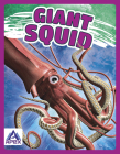 Giant Squid Cover Image