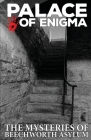 Palace of Enigma: The Mysteries of Beechworth Asylum Cover Image