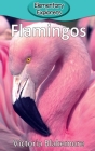 Flamingos (Elementary Explorers #3) By Victoria Blakemore Cover Image