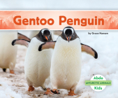 Gentoo Penguin By Grace Hansen Cover Image