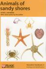 Animals of sandy shores (Naturalists' Handbooks) Cover Image