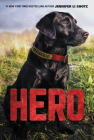 Hero Cover Image