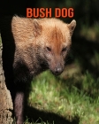 Bush Dog: Fun Learning Facts About Bush Dog Cover Image