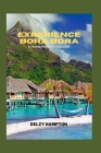 Experience Bora Bora: A Travel Preparation Guide By Delzy Hampton Cover Image
