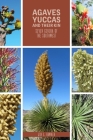 Agaves, Yucca, and Their Kin: Seven Genera of the Southwest (Grover E. Murray Studies in the American Southwest) By Jon L. Hawker Cover Image