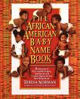 The African-American Baby Name Book: A Treasury of over 10,000 Unique, Traditional, and Creative Names for the New Millennium Cover Image