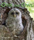 Otis the Owl By Mary Holland Cover Image