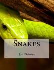Snakes By Just Pictures Cover Image