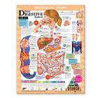 Blueprint for Health Your Digestive System Chart By Anatomical Chart Company (Prepared for publication by) Cover Image