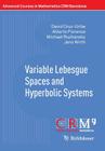Variable Lebesgue Spaces and Hyperbolic Systems (Advanced Courses in Mathematics - Crm Barcelona #27) By David Cruz-Uribe, Alberto Fiorenza, Michael Ruzhansky Cover Image