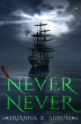 Never Never By Brianna Shrum Cover Image