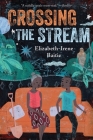 Crossing the Stream By Elizabeth-Irene Baitie Cover Image