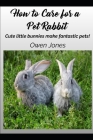 How To Care For A Pet Rabbit: Cute little bunnies make fantastic pets! (How To...) By Owen Jones Cover Image
