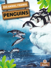 Penguins By Amy Culliford Cover Image
