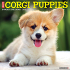 Just Corgi Puppies 2021 Wall Calendar (Dog Breed Calendar) Cover Image