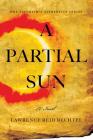 A Partial Sun: The Tinsmith's Apprentice Series By Lawrence Reid Bechtel Cover Image