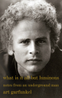 What Is It All but Luminous: Notes from an Underground Man By Art Garfunkel Cover Image