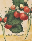 2020 Calendar: Monthly 2020 Fruit Illustrated Calendar With Large Images and Calendar Dates, Spaces to Record Income, Expenses, Impor By New Millennium Fruit Calendar Cover Image