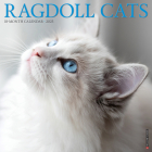Ragdoll Cats 2023 Wall Calendar By Willow Creek Press Cover Image