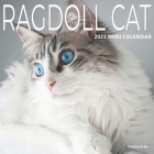 Ragdoll Cats: 2021 Mini Wall Calendar By Patches And Me Cover Image