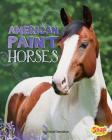 American Paint Horses (Horse Breeds) By David Denniston Cover Image