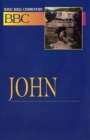 Basic Bible Commentary John (Abingdon Basic Bible Commentary #20) By Norman P. Madsen Cover Image